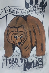 Artwork: Oso del Atlas