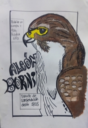 Artwork: Alcón Borní