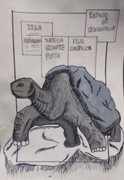 Artwork: Tortuga gigante pinta