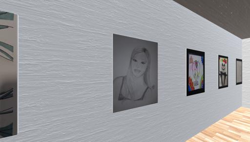 Virtual art exhibition: Proyecto rector   by Ximena Elizalde 