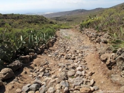 Artwork: Caminos de Lajas San Miguel de Abona