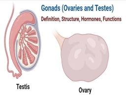 Artwork: GONADS