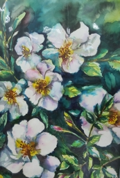 Artwork: Apple Flowers