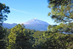 Artwork: parque natural de la corona forestal