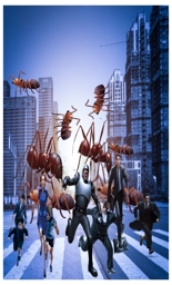 Artwork: Ant Invasion People are fleeing