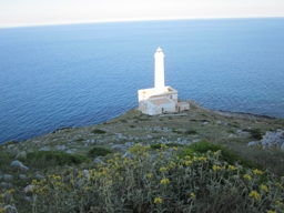 Artwork: il faro della palascia