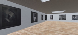 Virtual art exhibition: 