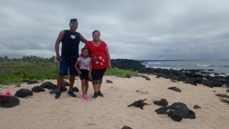 Artwork: foto en galapagos