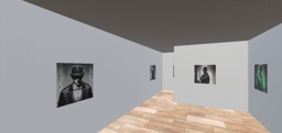 Virtual art exhibition: Premiere  by Kelly